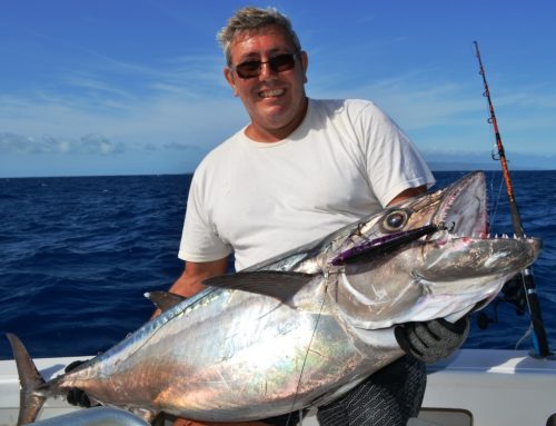 thon à dents de chien de 30kg - Rod Fishing Club - Ile Rodrigues - Maurice - Océan Indien