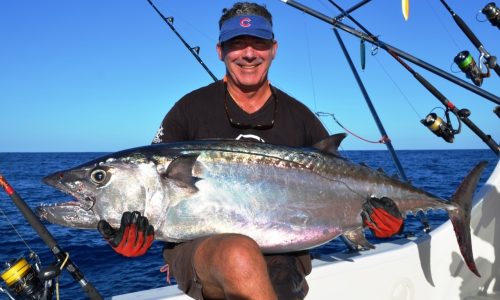 thon à dents de chien de 36kg - Rod Fishing Club - Ile Rodrigues - Maurice - Océan Indien