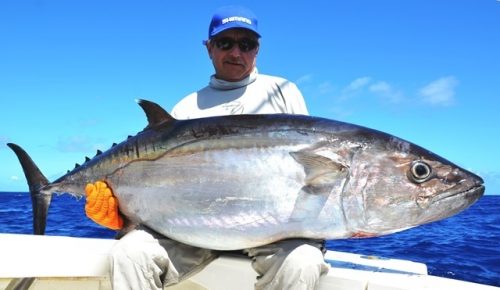 thon dents de chien de 49kg - Rod Fishing Club - Ile Rodrigues - Maurice - Océan Indien