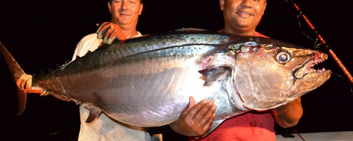 thon à dents de chien de 52kg par Olivier - Rod Fishing Club - Ile Rodrigues - Maurice - Océan Indien