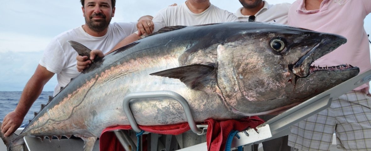 thon à dents de chien de 89kg par Axel - Rod Fishing Club - Ile Rodrigues - Maurice - Océan Indien