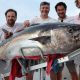 thon à dents de chien de 89kg par Axel - Rod Fishing Club - Ile Rodrigues - Maurice - Océan Indien
