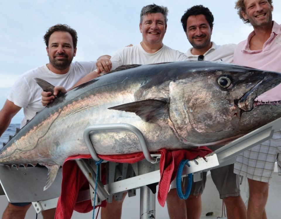 thon à dents de chien de 89kg par Axel - Rod Fishing Club - Ile Rodrigues - Maurice - Océan Indien