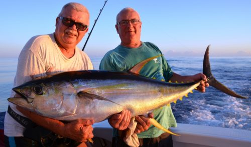 thon jaune 34kg - Rod Fishing Club - Ile Rodrigues - Maurice - Océan Indien
