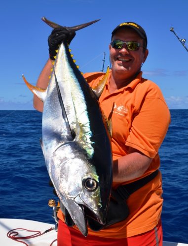 thon jaune - Rod Fishing Club - Ile Rodrigues - Maurice - Océan Indien