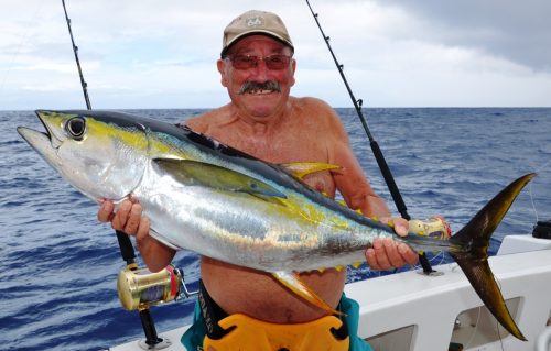 thon jaune - Rod Fishing Club - Ile Rodrigues - Maurice - Océan Indien