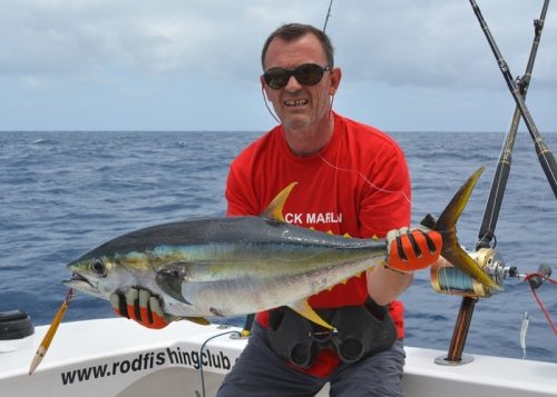 thon jaune - Rod Fishing Club - Ile Rodrigues - Maurice - Océan Indien