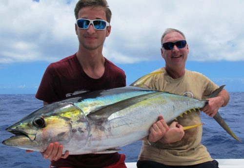 thon jaune - Rod Fishing Club - Ile Rodrigues - Maurice - Océan Indien