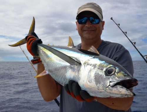 thon jaune - Rod Fishing Club - Ile Rodrigues - Maurice - Océan Indien