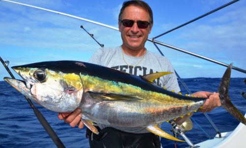 thon jaune - Rod Fishing Club - Ile Rodrigues - Maurice - Océan Indien