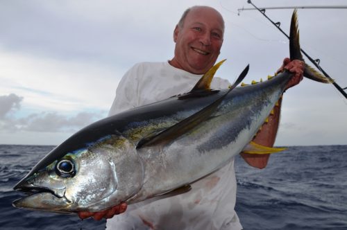 thon jaune - Rod Fishing Club - Ile Rodrigues - Maurice - Océan Indien