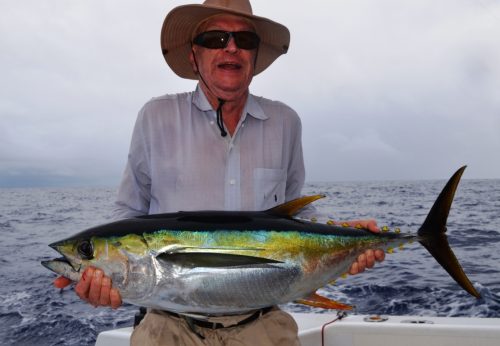 thon jaune - Rod Fishing Club - Ile Rodrigues - Maurice - Océan Indien