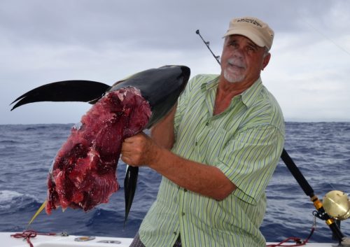 thon jaune coupé par un requin - Rod Fishing Club - Ile Rodrigues - Maurice - Océan Indien
