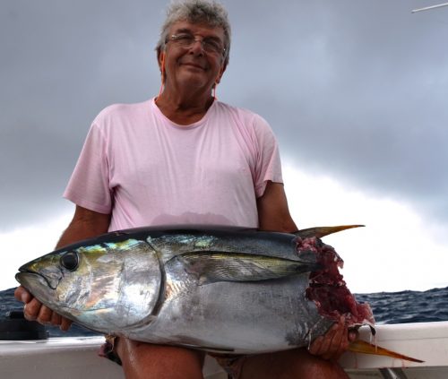 thon jaune coupé par un requin - Rod Fishing Club - Ile Rodrigues - Maurice - Océan Indien