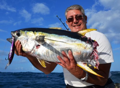 thon jaune coupé par un requin - Rod Fishing Club - Ile Rodrigues - Maurice - Océan Indien