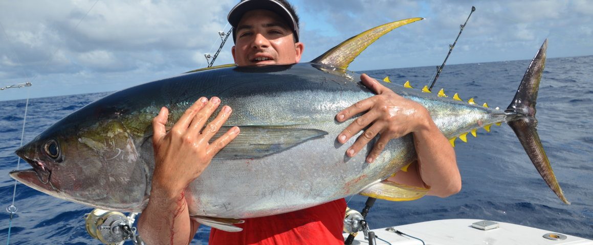 thon jaune de 40kg - Rod Fishing Club - Ile Rodrigues - Maurice - Océan Indien