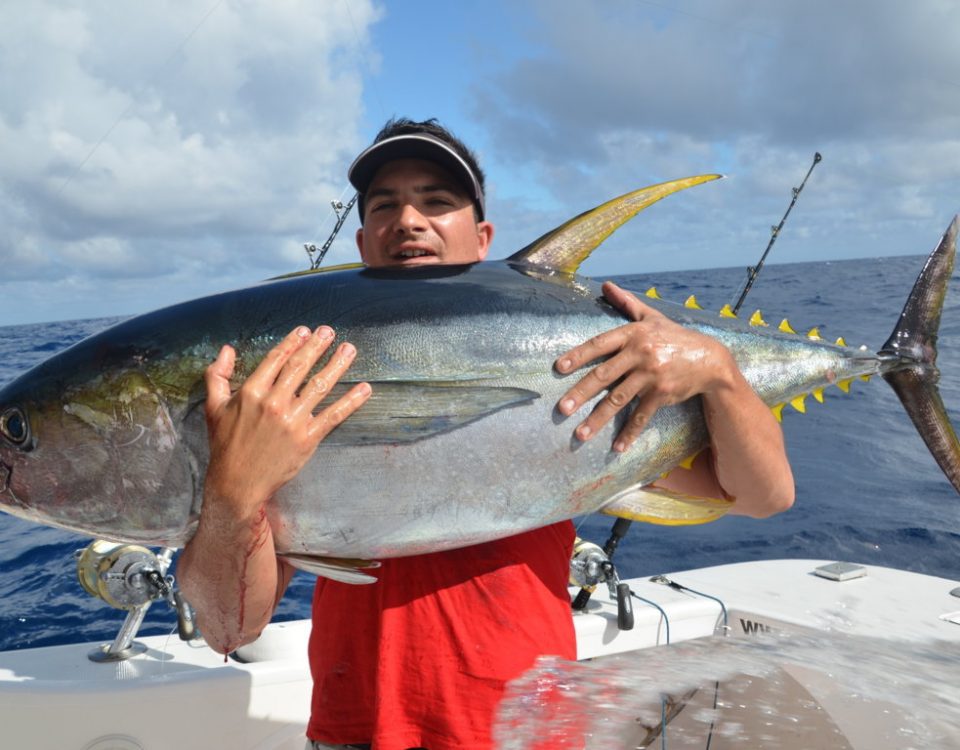 thon jaune de 40kg - Rod Fishing Club - Ile Rodrigues - Maurice - Océan Indien