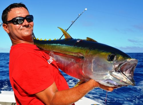 thon jaune en pêche à la traine pour Olivier - Rod Fishing Club - Rodrigues Island - Mauritius - Indian Ocean