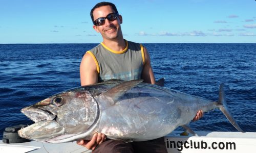 thon à dents de chien - Rod Fishing Club - Ile Rodrigues - Maurice - Océan Indien