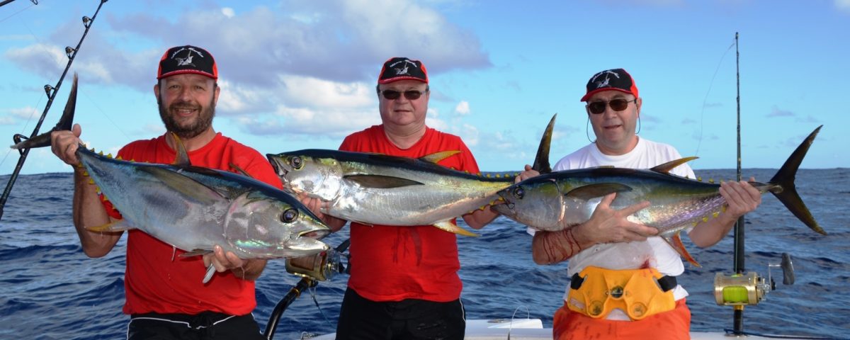 thons jaunes - Rod Fishing Club - Ile Rodrigues - Maurice - Océan Indien