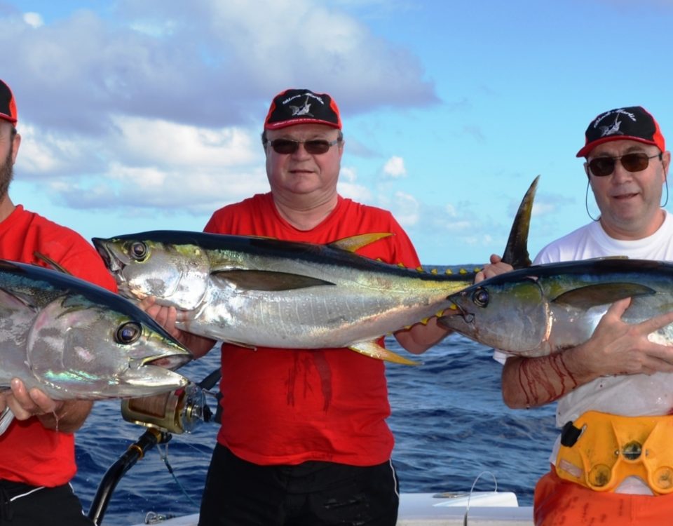 thons jaunes - Rod Fishing Club - Ile Rodrigues - Maurice - Océan Indien