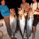 triplé de beaux thons à dents de chien - Rod Fishing Club - Ile Rodrig