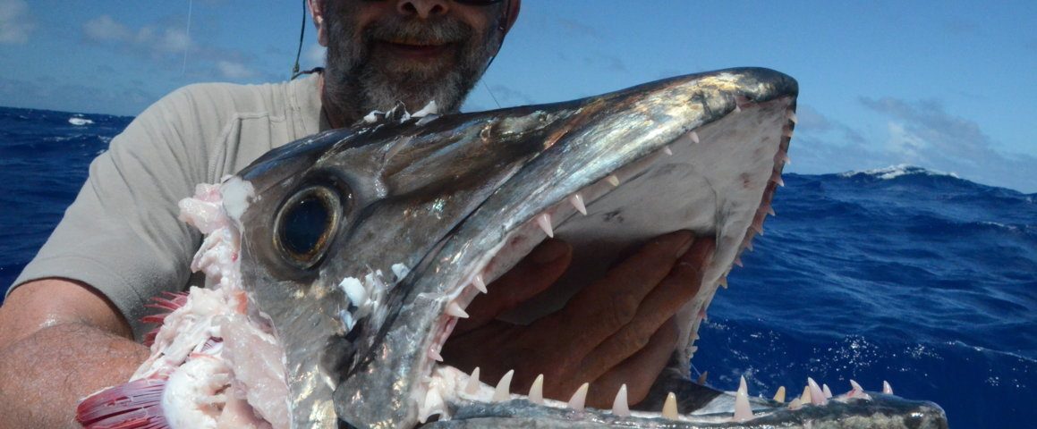 tête de thon à dents de chien de 50kg dévorée par un requin - Rod Fishing Club - Ile Rodrigues - Maurice - Océan Indien