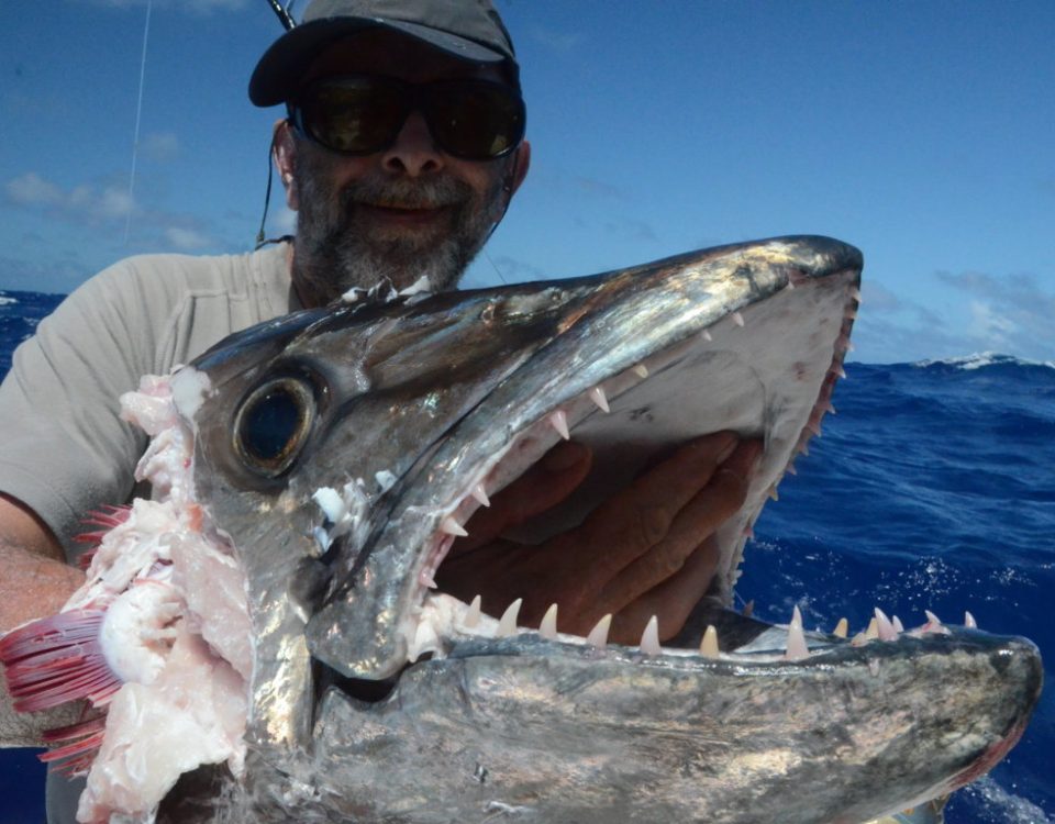 tête de thon à dents de chien de 50kg dévorée par un requin - Rod Fishing Club - Ile Rodrigues - Maurice - Océan Indien