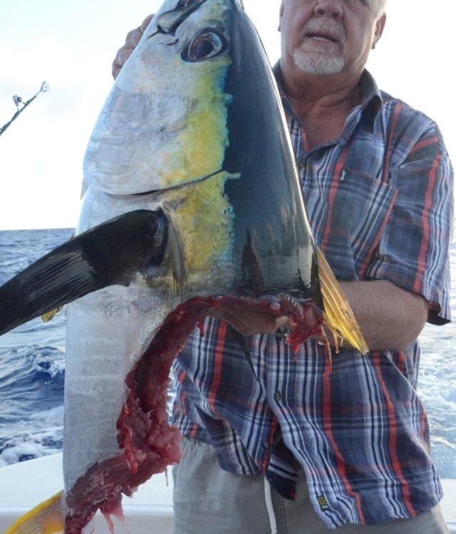 tête de thon jaune 16 kg après le repas d' un requin - Rod Fishing Club - Ile Rodrigues - Maurice - Océan Indien