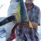 tête de thon jaune 16 kg après le repas d' un requin - Rod Fishing Club - Ile Rodrigues - Maurice - Océan Indien