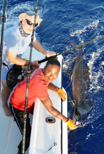 voilier 35kg relâché - Rod Fishing Club - Ile Rodrigues - Maurice - Océan Indien