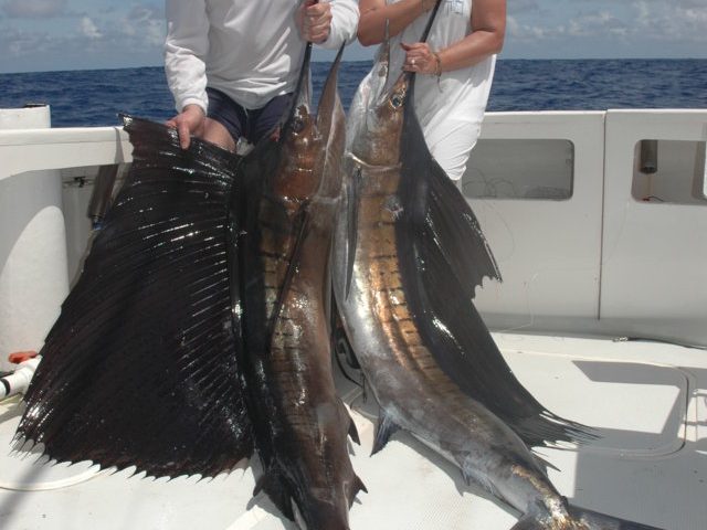 voiliers - Rod Fishing Club - Ile Rodrigues - Maurice - Océan Indien