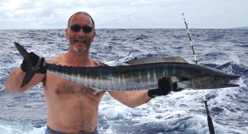 wahoo - Rod Fishing Club - Ile Rodrigues - Maurice - Océan Indien