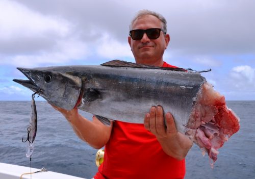 wahoo coupé par requin - Rod Fishing Club - Ile Rodrigues - Maurice - Océan Indien