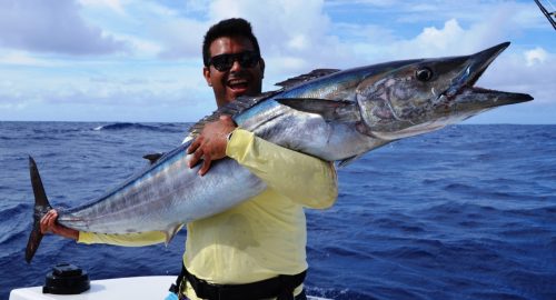wahoo de 20kg en pêche à la traîne - Rod Fishing Club - Rodrigues Island - Mauritius - Indian OceanRodrigues Island - Mauritius - Indian Ocean