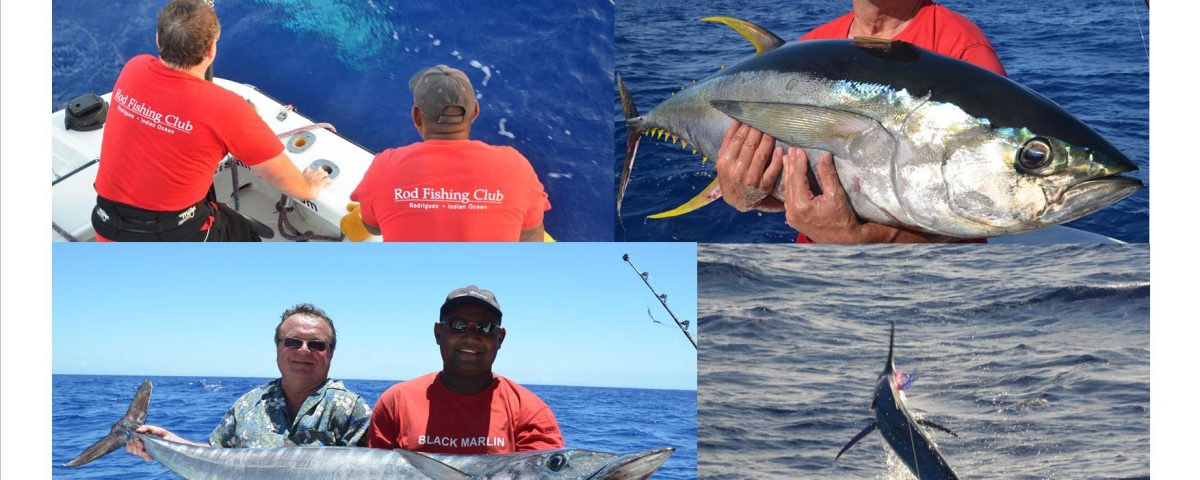 wahoo, thon jaune et marlin - Rod Fishing Club - Ile Rodrigues - Maurice - Océan Indien