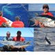 wahoo, thon jaune et marlin - Rod Fishing Club - Ile Rodrigues - Maurice - Océan Indien