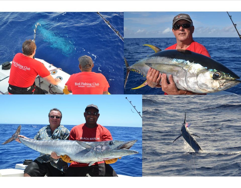 wahoo, thon jaune et marlin - Rod Fishing Club - Ile Rodrigues - Maurice - Océan Indien