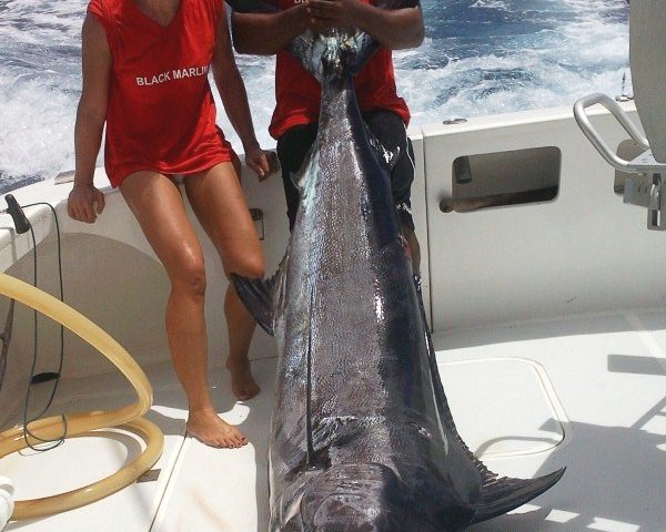 120kg blue marlin caught by Sophie on trolling - Rod Fishing Club - Rodrigues Island - Mauritius - Indian Ocean