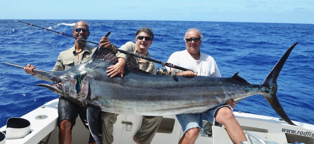 130kg black marlin on Heavy spinning by Claudius - Rod Fishing Club - Rodrigues Island - Mauritius - Indian Ocean