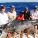 140kg marlin - Rod Fishing Club - Rodrigues Island - Mauritius - Indian Ocean