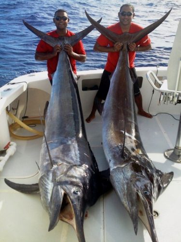 160 and 140kg black marlin on the Eastrern Bank - Rod Fishing Club - Rodrigues Island - Mauritius - Indian Ocean