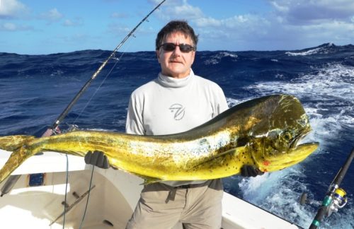 17kg male dorado - Rod Fishing Club - Rodrigues Island - Mauritius - Indian Ocean