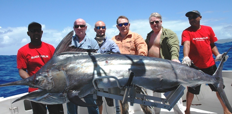 180kg black marlin on trolling - Rod Fishing Club - Rodrigues Island - Mauritius - Indian Ocean