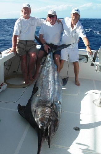 200kg marlin on trolling - Rod Fishing Club - Rodrigues Island - Mauritius - Indian Ocean