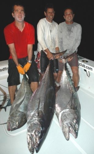 3 doggies over 50kg - Rod Fishing Club - Rodrigues Island - Mauritius - Indian Ocean