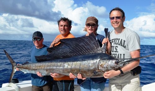 40kg sailfish on trolling - Rod Fishing Club - Rodrigues Island - Mauritius - Indian Ocean