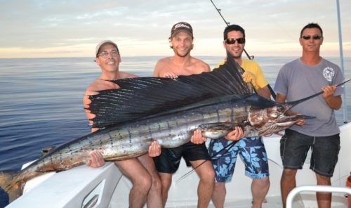 45kg sailfish on trolling - Rod Fishing Club - Rodrigues Island - Mauritius - Indian Ocean