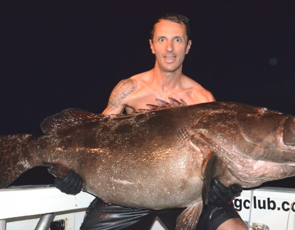 50kg Dusky grouper on livebaiting for Jean Guy - Rod Fishing Club - Rodrigues Island - Mauritius - Indian Ocean