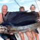 50kg sailfish on trolling - Rod Fishing Club - Rodrigues Island - Mauritius - Indian Ocean